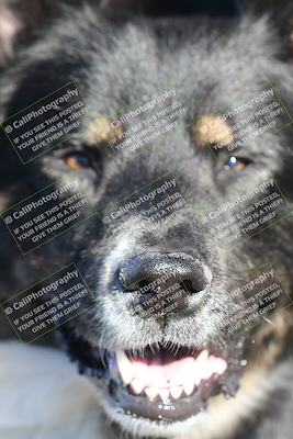 media/Jan-15-2026-Racers Edge (Thu) [[dfebeb70ab]]/1-Around the Pits-Track Walk/